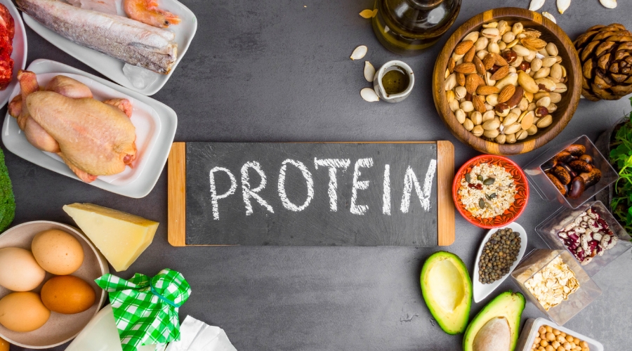 protein jídelníček